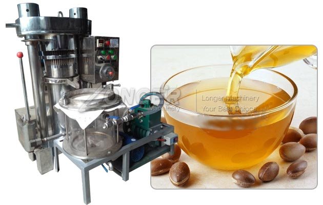 Moroccan Argan Oil Press Machine